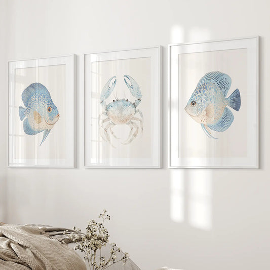 Marine Animals Minimalist Ocean Life Wall Art