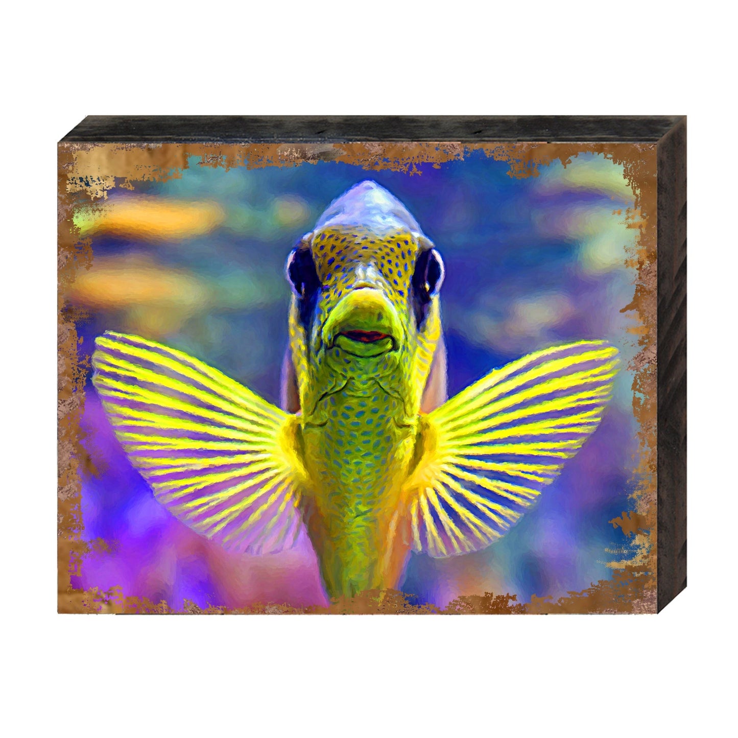 Tropical Fish Wooden Coastal Wall Art