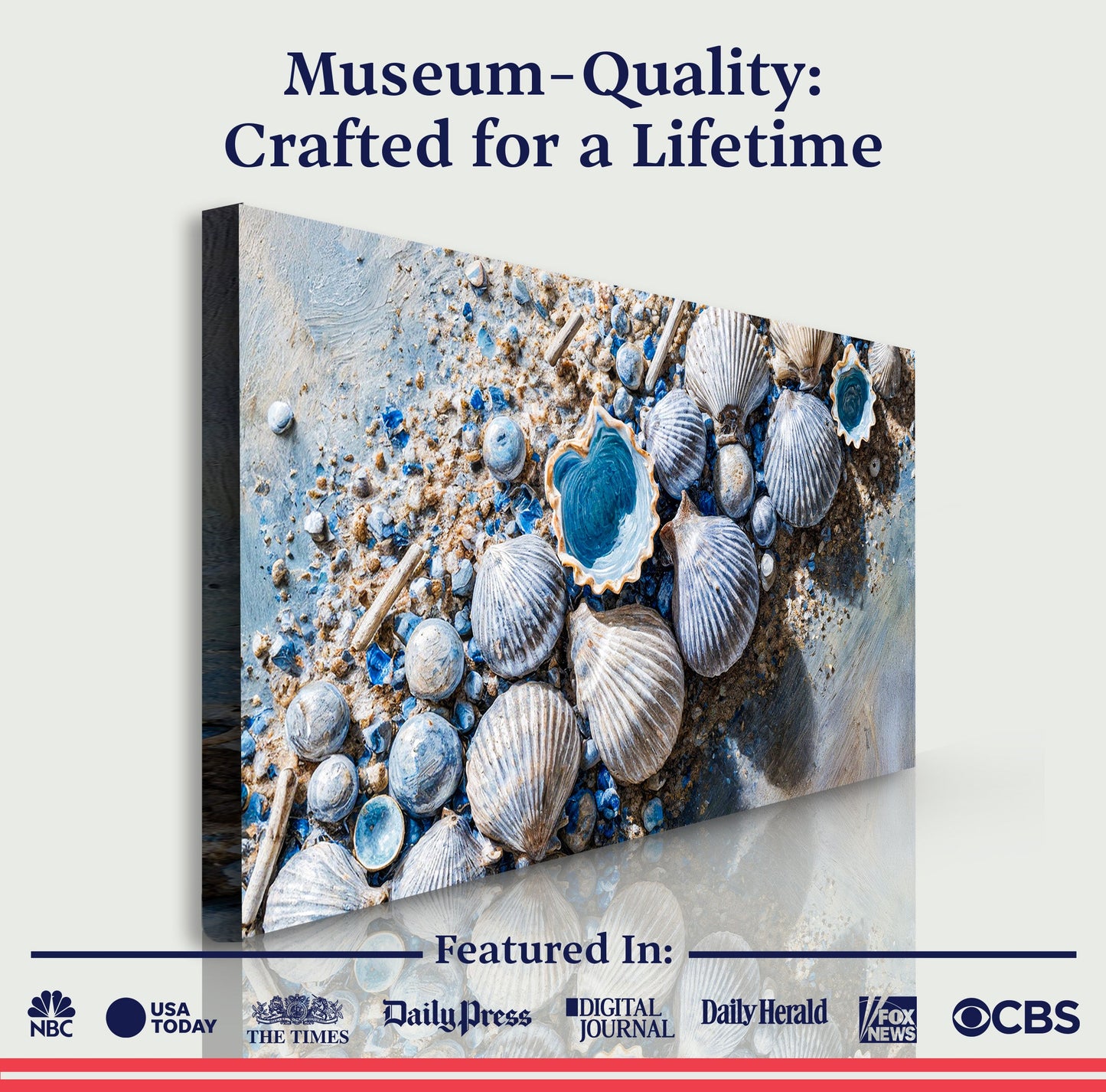 Sea Shells Modern Coastal Wall Art
