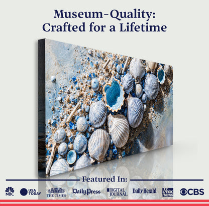 Sea Shells Modern Coastal Wall Art