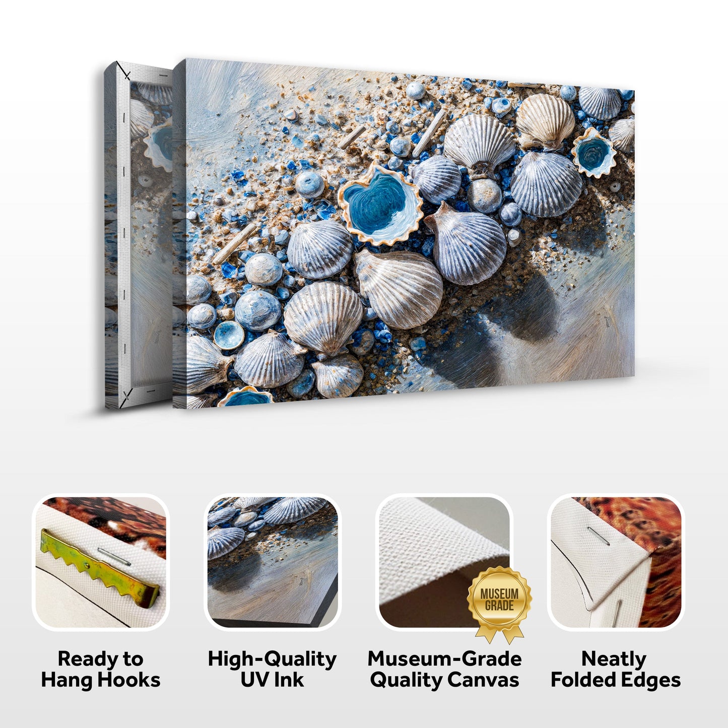 Sea Shells Modern Coastal Wall Art