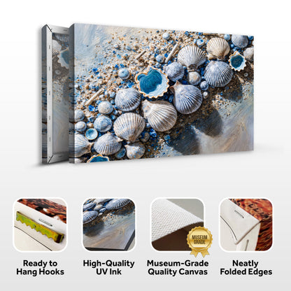 Sea Shells Modern Coastal Wall Art