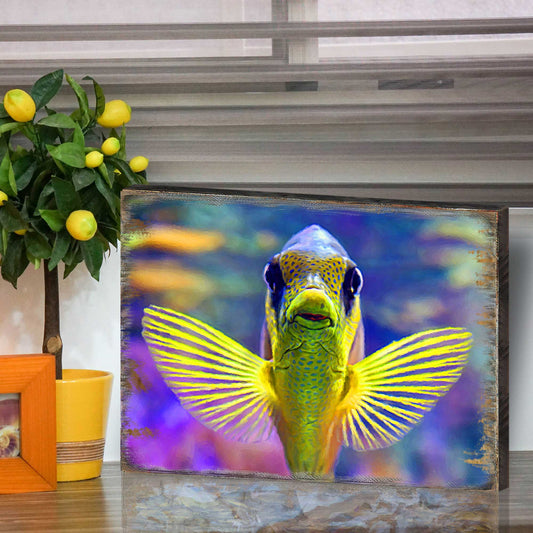 Tropical Fish Wooden Coastal Wall Art