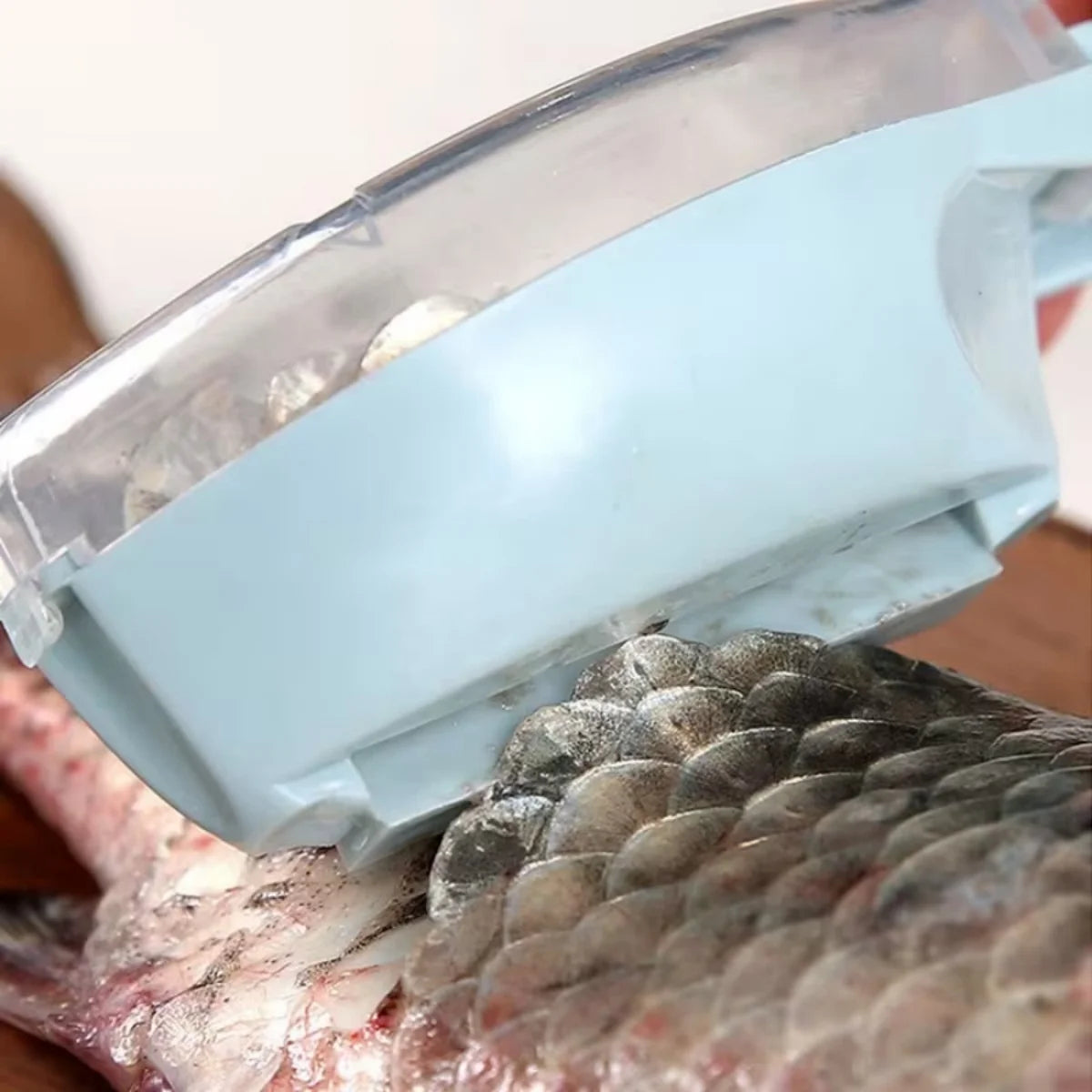 Fish Scales Graters Scraper Fish Cleaning Tool With Cover
