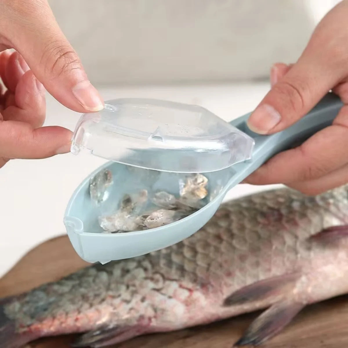 Fish Scales Graters Scraper Fish Cleaning Tool With Cover
