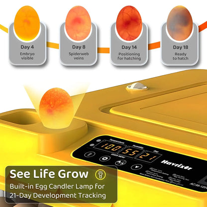 36-216 Egg Incubator for Hatching Eggs, Fully Automatic