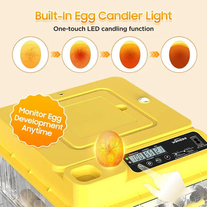 36-216 Egg Incubator for Hatching Eggs, Fully Automatic