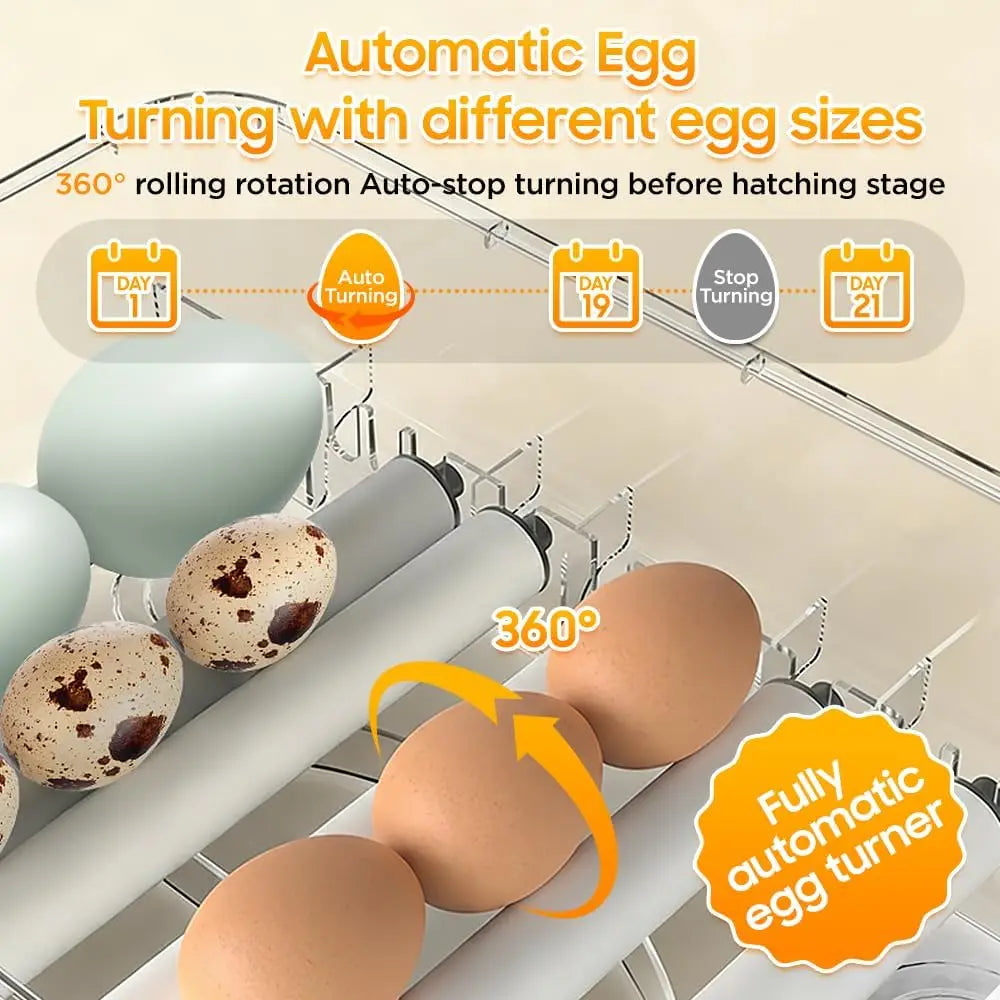 36-216 Egg Incubator for Hatching Eggs, Fully Automatic