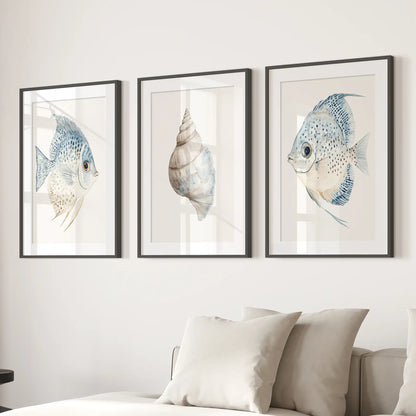 Trendy Nautical Wall Art Set of 3. Seashell and Fish Posters
