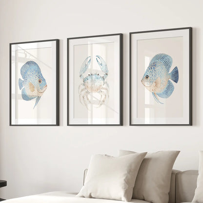 Marine Animals  Minimalist Ocean Life  Wall Art