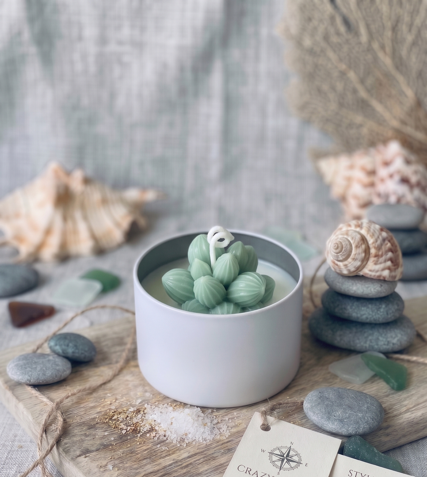 Cactus Jar Candle — Sage Cluster Succulent | Soy Wax