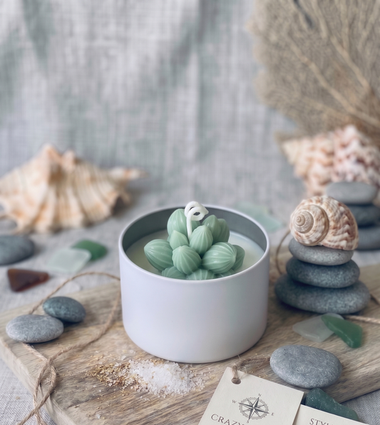 Cactus Jar Candle — Sage Cluster Succulent | Soy Wax