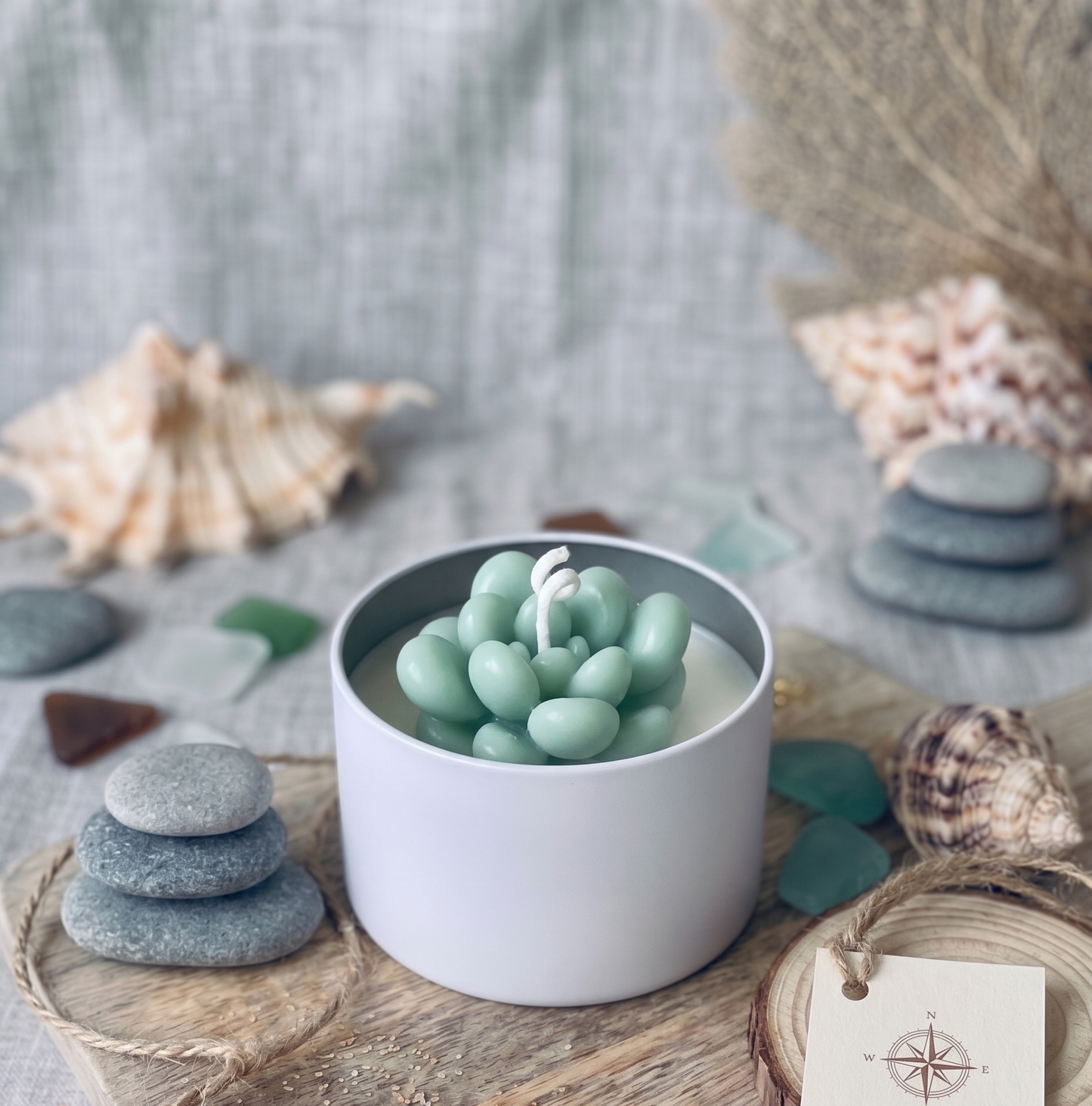 Cactus Jar Candle — Seafoam Bubble Succulent | Soy Wax