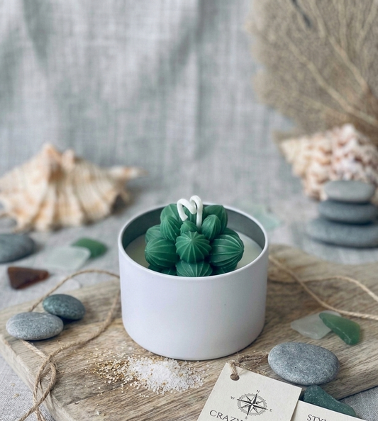Cactus Jar Candle — Emerald Leaf Succulent | Soy Wax