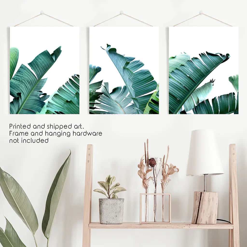 Green Banana Leaves Tropical Wall Art - 3 Piece Set.