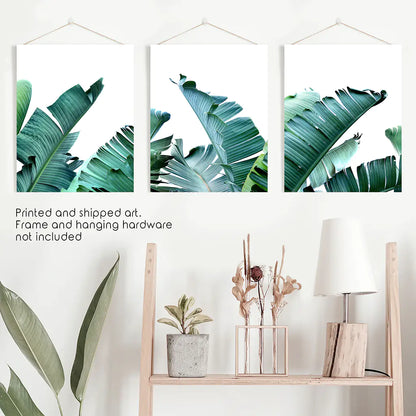 Green Banana Leaves Tropical Wall Art - 3 Piece Set.