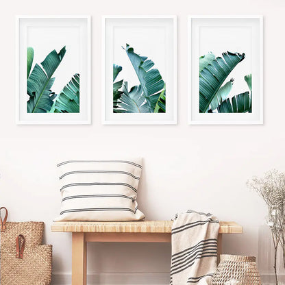 Green Banana Leaves Tropical Wall Art - 3 Piece Set.