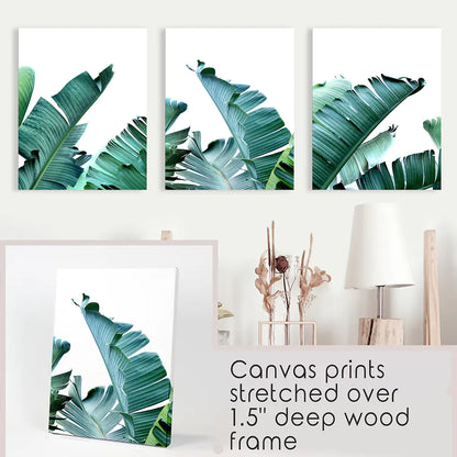 Green Banana Leaves Tropical Wall Art - 3 Piece Set.