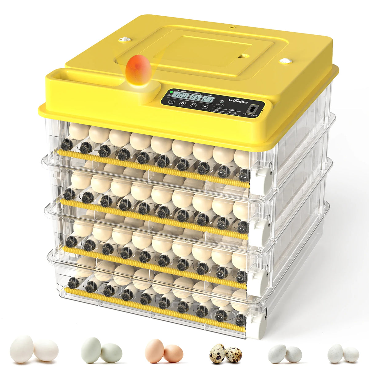 36-216 Egg Incubator for Hatching Eggs, Fully Automatic