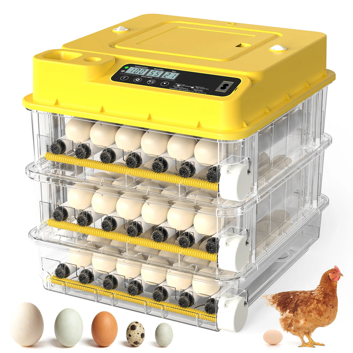 36-216 Egg Incubator for Hatching Eggs, Fully Automatic