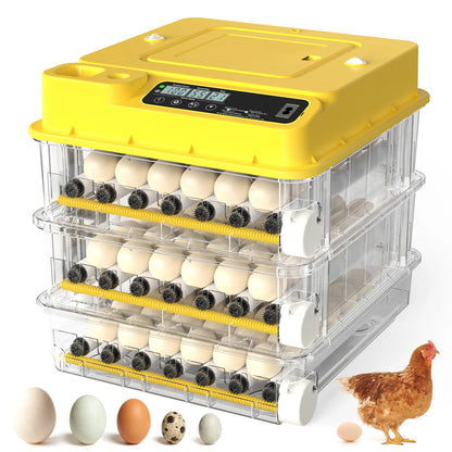 36-216 Egg Incubator for Hatching Eggs, Fully Automatic