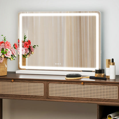 LED Vanity Mirror with Lights Dimmable 3 Color Modes