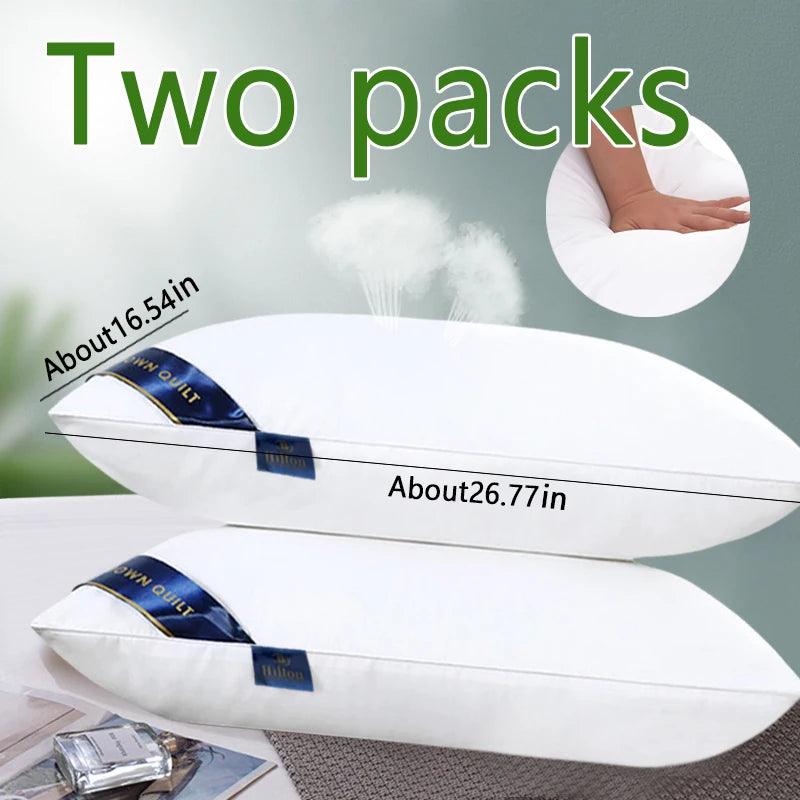 Healthy Sleep Luxury Comfortable Leisure Pillow