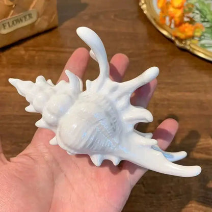 1pc seaside vacation style acrylic sea shell hair clip