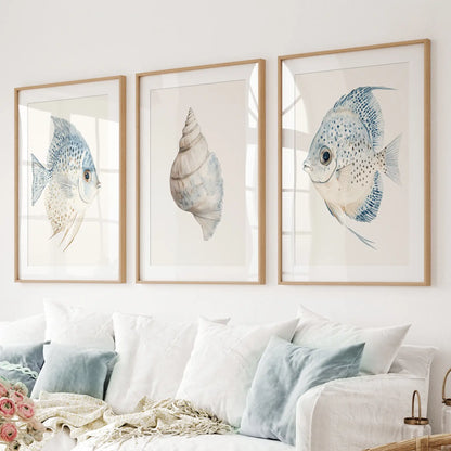 Trendy Nautical Wall Art Set of 3. Seashell and Fish Posters