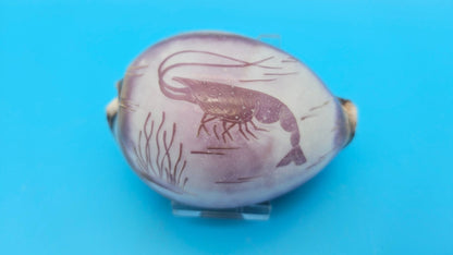 Dolphin, Seahorse, or Shrimp Design Options Carved Cowrie Shell Display 3.5"