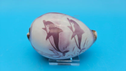 Dolphin, Seahorse, or Shrimp Design Options Carved Cowrie Shell Display 3.5"