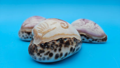 Dolphin, Seahorse, or Shrimp Design Options Carved Cowrie Shell Display 3.5"
