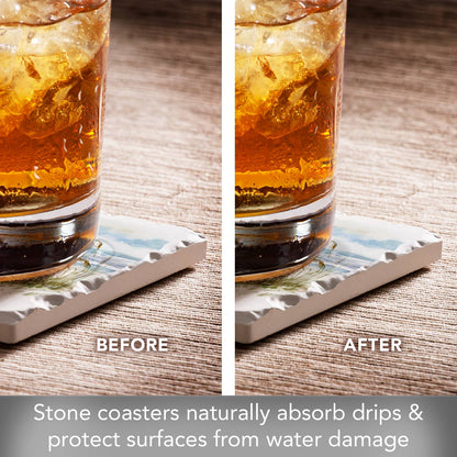 4 Pack Assorted Image Coaster Set