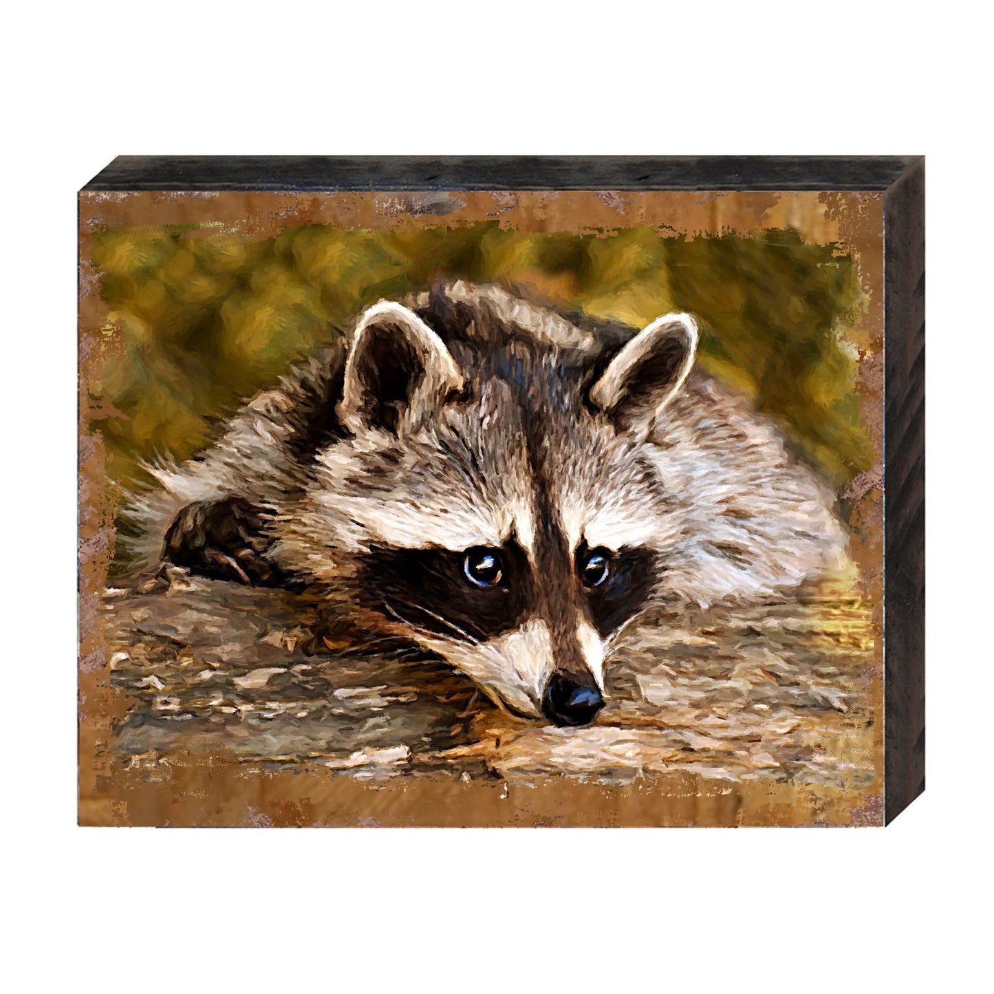 Racoon Wooden Wall Art