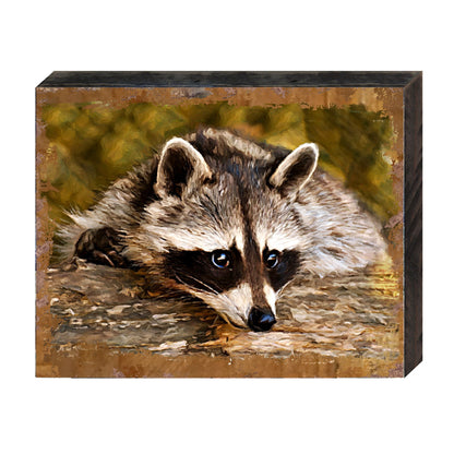 Racoon Wooden Wall Art