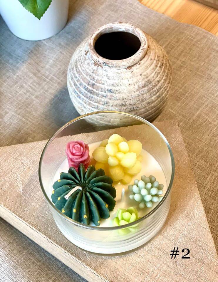 Garden Terrarium Candle – A Touch of Nature’s Serenity