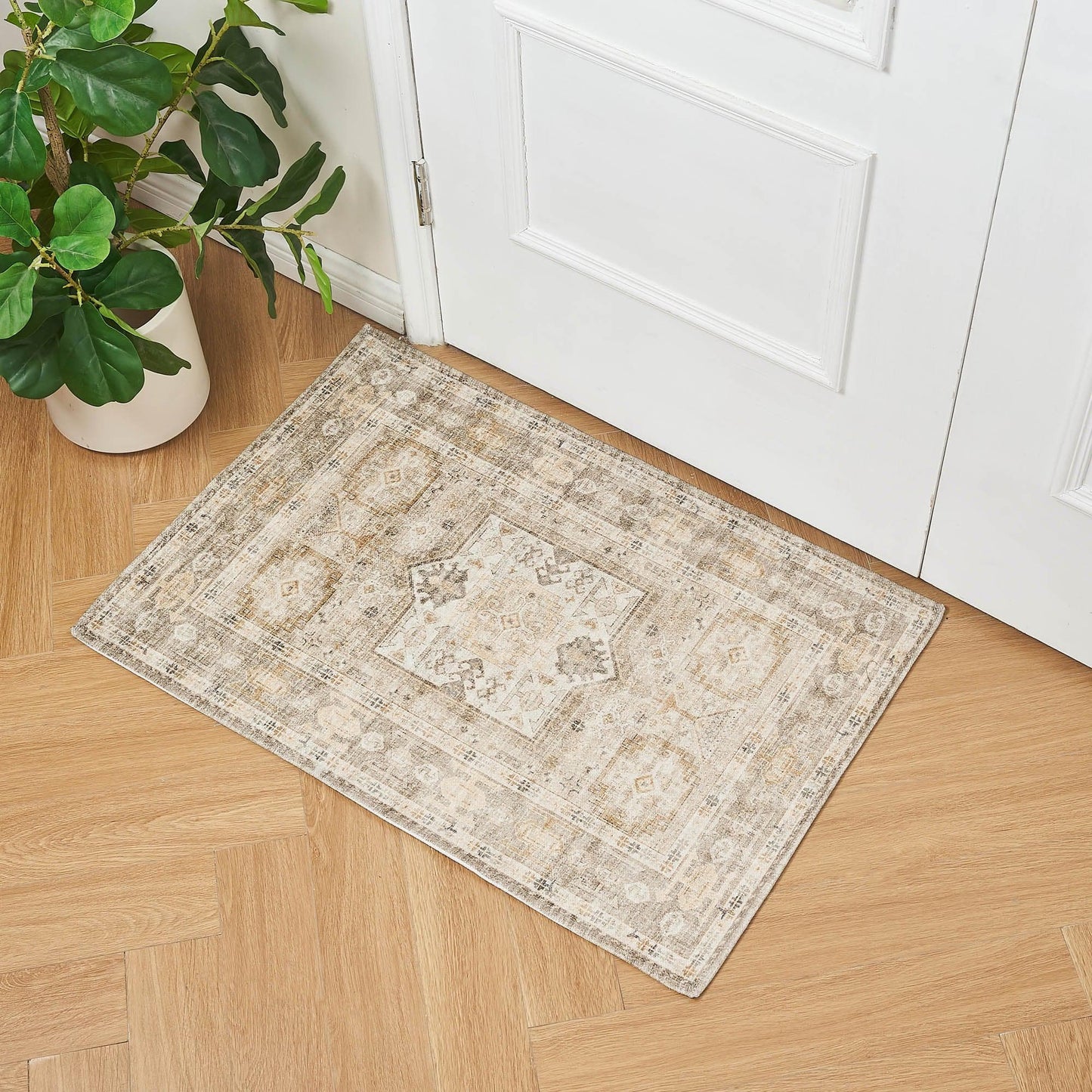 Medallion Machine Washable 2' x 3' Accent Rug