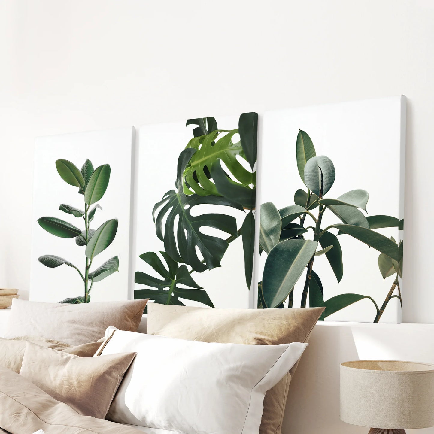 Tropical Monstera, Rubber Plant Botanical Set of 3  Prints.