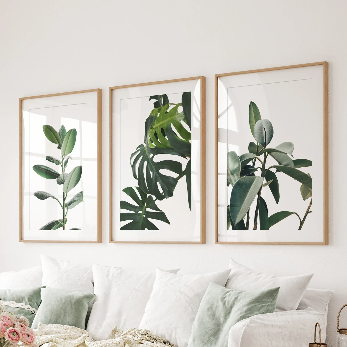 Tropical Monstera, Rubber Plant Botanical Set of 3  Prints.