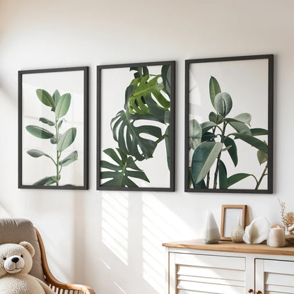 Tropical Monstera, Rubber Plant Botanical Set of 3  Prints.