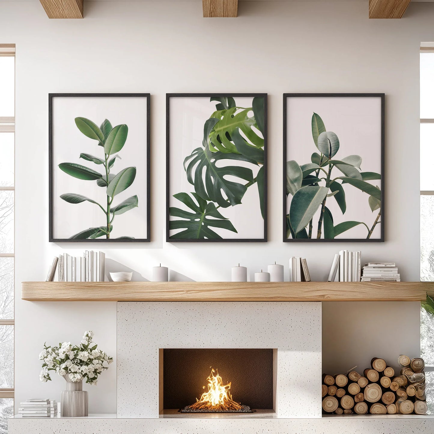 Tropical Monstera, Rubber Plant Botanical Set of 3  Prints.